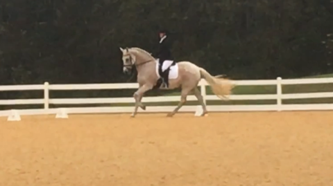 keep stables holly linz about dressage training boarding