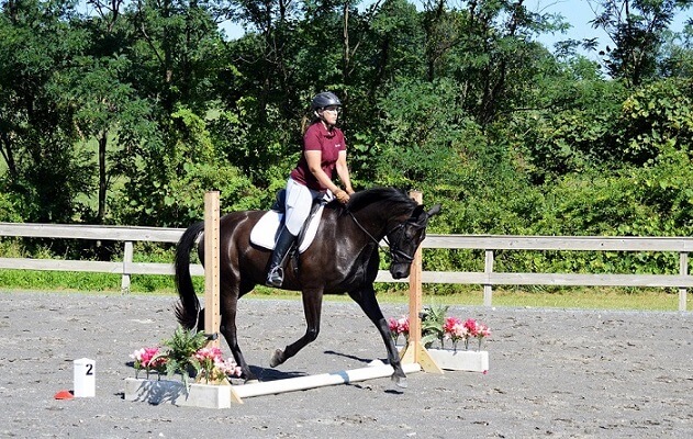 Mary Wanless – on dressage