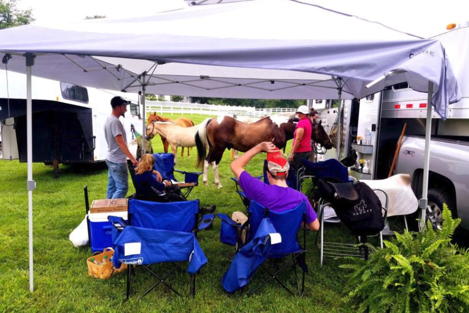 Dressage test fashion and over-facing the young horse