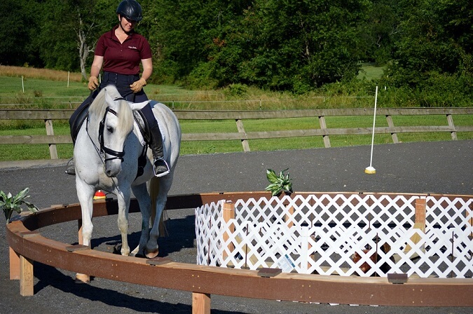 Holly performing the round pen obstacle during a working equitation clinic in 2019