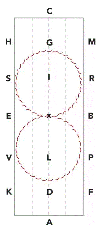 counter flex exercise training level dressage exercise holly linz