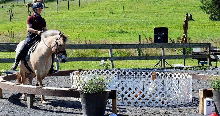Working equitation obstacle at Keep Stables, the round pen. It has chickens in it.