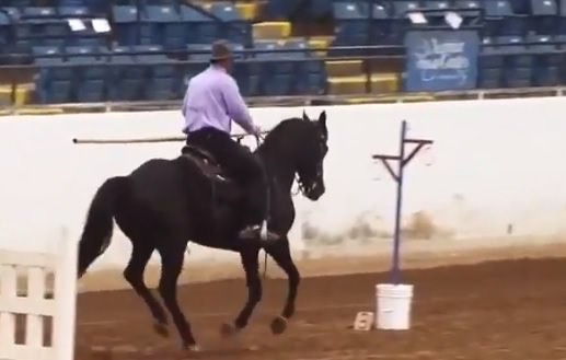 lance obstacle 2 speed trial working equitation cantering