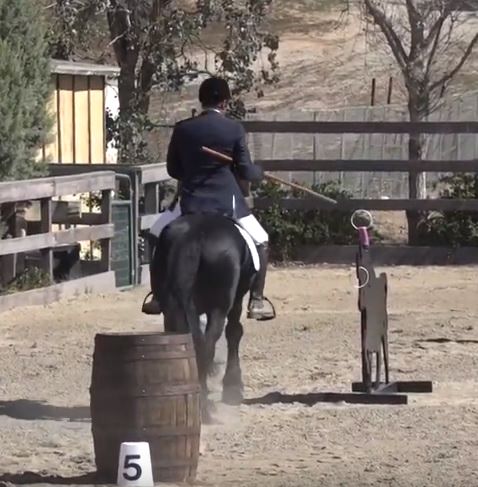 lance obstacle with the bull dressage rider working equitation