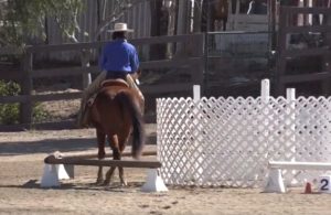 Round pen working equitation